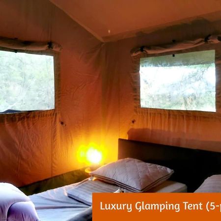 Glamping In Nature By Outdoors هولتين المظهر الخارجي الصورة